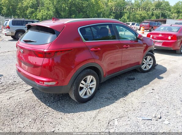 KNDPMCAC2K7606777 2019 KIA SPORTAGE Красный Задняя правая четверть