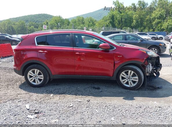 KNDPMCAC2K7606777 2019 KIA SPORTAGE Красный Вид задней части салона