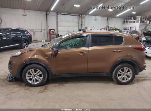 KNDPMCAC4H7035916 2017 KIA SPORTAGE Orange Панорамний вид салону 360°