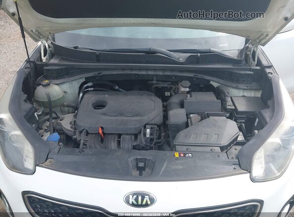KNDPMCAC5H7040039 2017 KIA SPORTAGE Белый Вид сзади