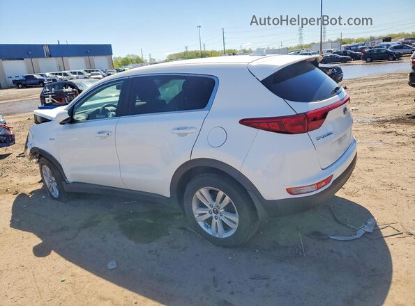 KNDPMCAC5K7532402 2019 KIA SPORTAGE White Tył lewy