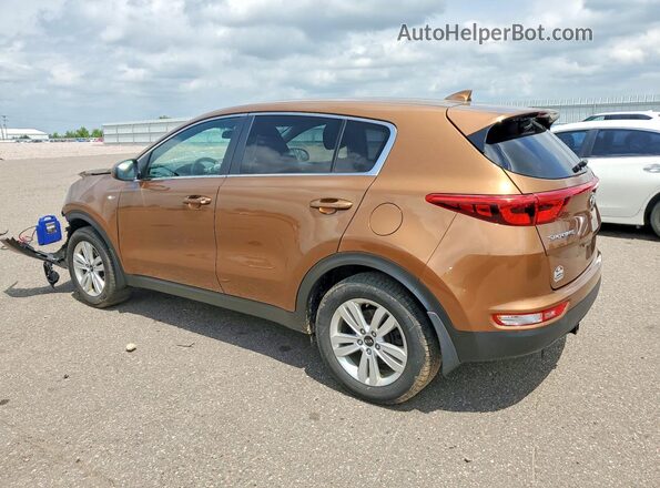 KNDPMCAC5K7539334 2019 KIA SPORTAGE Brown Հետևի ձախ