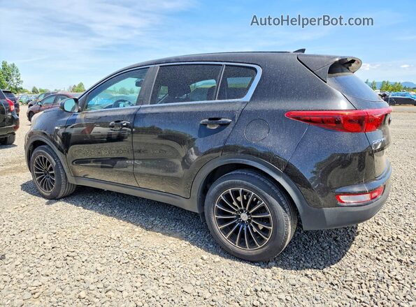 KNDPMCAC6H7112236 2017 KIA SPORTAGE Черный Задняя левая четверть