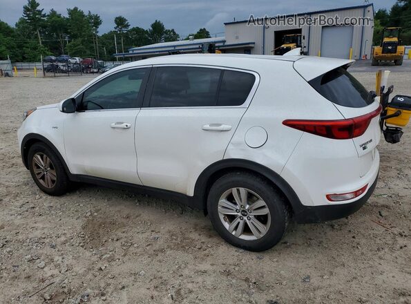 KNDPMCAC7H7086276 2017 KIA SPORTAGE White Tył lewy