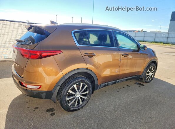 KNDPMCAC7H7088366 2017 KIA SPORTAGE Желто-коричневый Задняя правая четверть