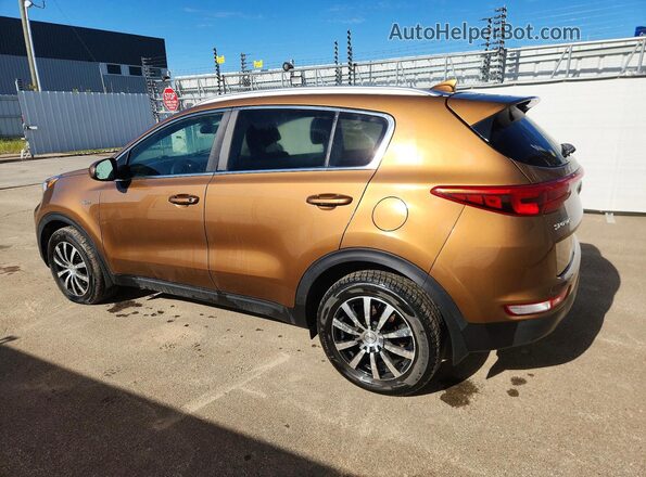 KNDPMCAC7H7088366 2017 KIA SPORTAGE Желто-коричневый Задняя левая четверть