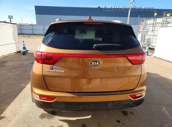 KNDPMCAC7H7088366 2017 KIA SPORTAGE Желто-коричневый Вид сзади
