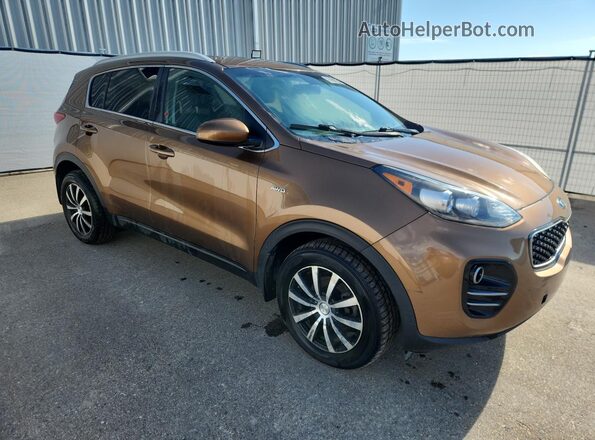KNDPMCAC7H7088366 2017 KIA SPORTAGE Желто-коричневый 