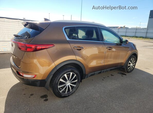 KNDPMCAC7H7088366 2017 KIA SPORTAGE Желто-коричневый 