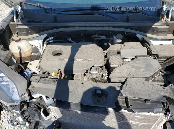 KNDPMCAC7N7984842 2022 KIA SPORTAGE White Շարժիչի բաժամունքի տեսք