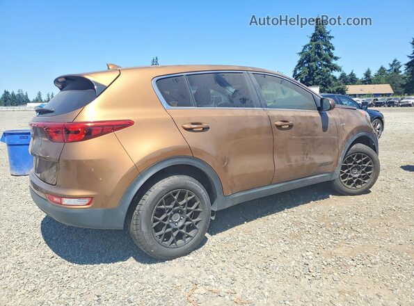 KNDPMCAC8H7130124 2017 KIA SPORTAGE Brown Trasero derecho