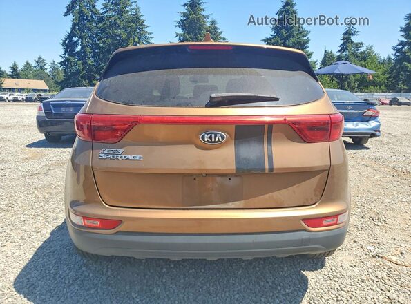 KNDPMCAC8H7130124 2017 KIA SPORTAGE Brown Vista trasera
