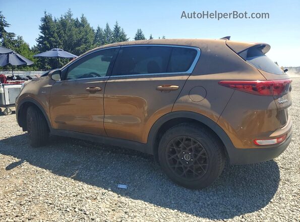 KNDPMCAC8H7130124 2017 KIA SPORTAGE Brown Trasero izquierdo