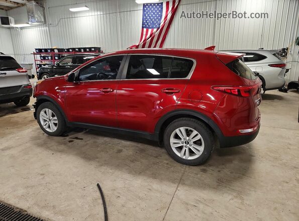 KNDPMCACXH7268554 2017 KIA SPORTAGE Red Tył lewy