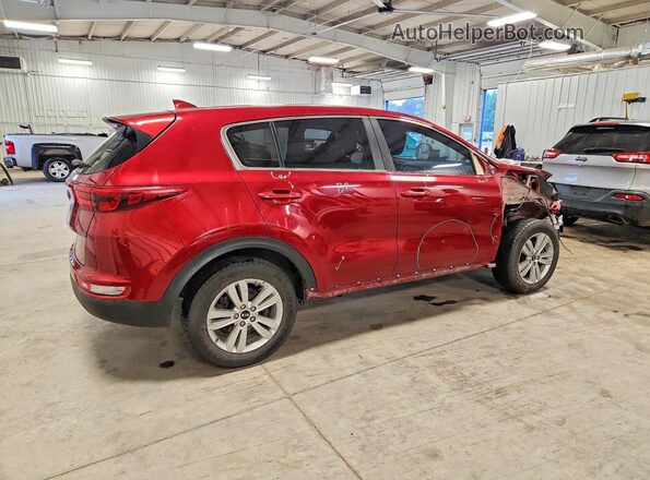 KNDPMCACXH7268554 2017 KIA SPORTAGE Red Tył prawy