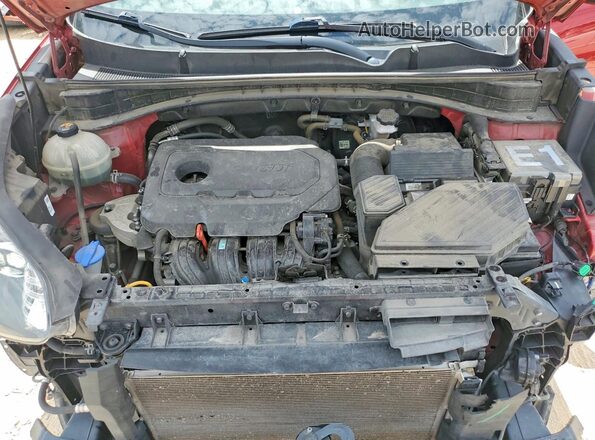 KNDPN3AC2L7828153 2020 KIA SPORTAGE Red Widok wnętrza z tyłu