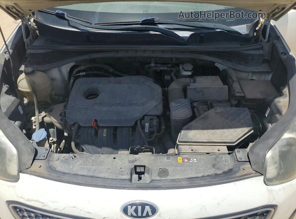 KNDPN3AC9H7105391 2017 KIA SPORTAGE Белый Вид задней части салона