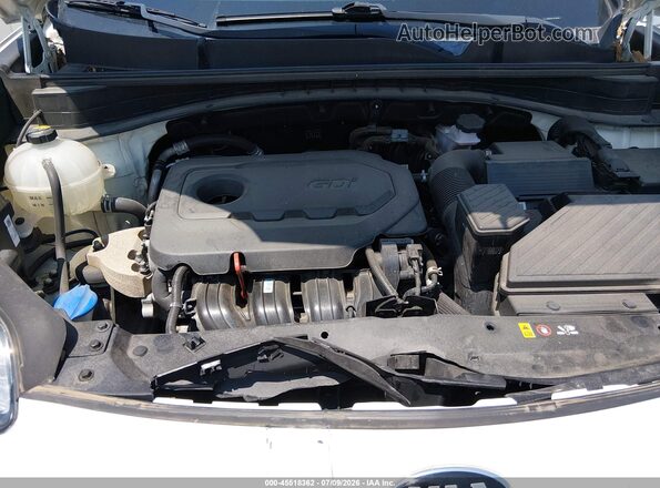 KNDPN3ACXK7584816 2019 KIA SPORTAGE Белый Вид сзади