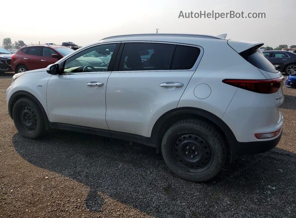 KNDPNCAC0H7148307 2017 KIA SPORTAGE White Rear left