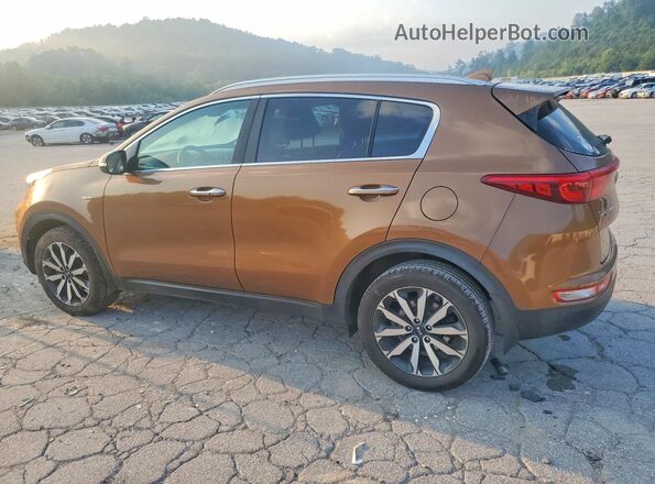 KNDPNCAC3J7367624 2018 KIA SPORTAGE Brown უკანა მარცხენა