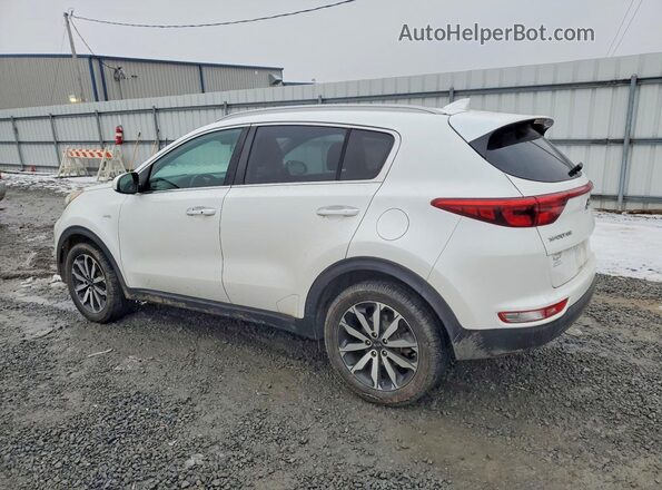 KNDPNCACXH7224258 2017 KIA SPORTAGE White Trasero izquierdo