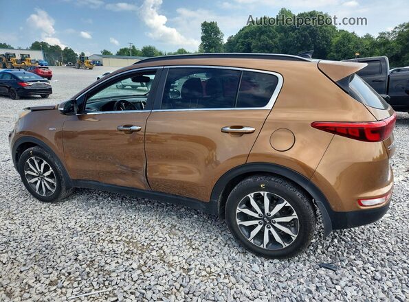 KNDPNCACXK7568891 2019 KIA SPORTAGE Brown Հետևի ձախ