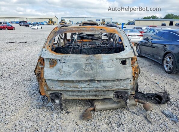 KNDPRCA63L7800067 2020 KIA SPORTAGE Burn Widok z tyłu