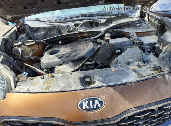 KNDPRCA65L7785006 2020 KIA SPORTAGE Orange Widok wnętrza z tyłu