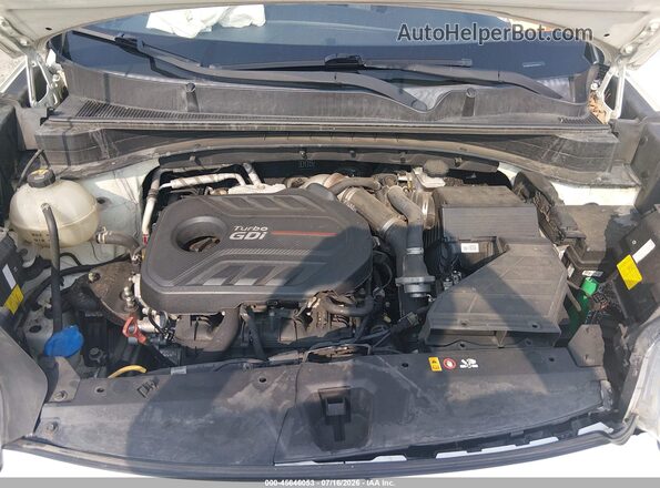 KNDPRCA67H7093434 2017 KIA SPORTAGE White Widok z tyłu