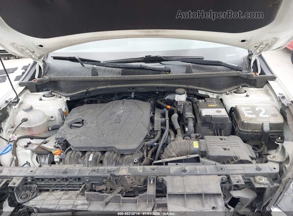 KNDPU3AF0P7182680 2023 KIA SPORTAGE White უკანა ხედი