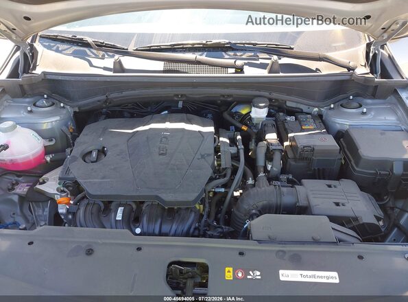 KNDPU3DF4S7414248 2025 KIA SPORTAGE Gray Widok z tyłu