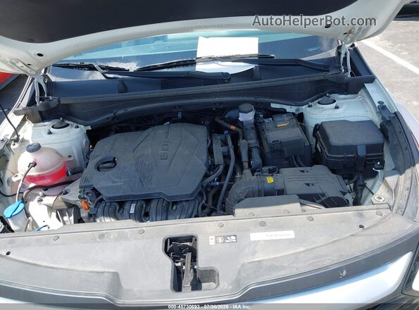 KNDPU3DF9R7268486 2024 KIA SPORTAGE Черный Вид сзади