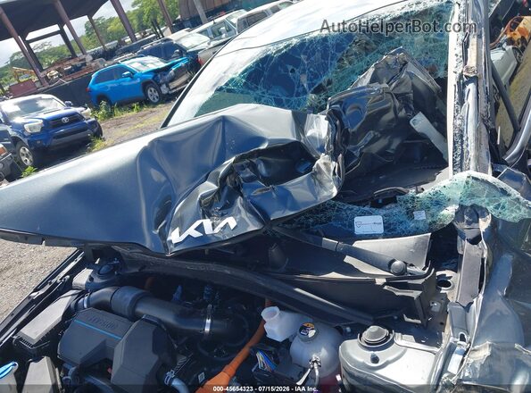 KNDPU3DG4S7176748 2025 KIA SPORTAGE HYBRID Серый 