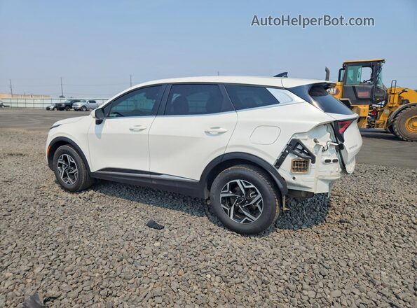 KNDPUCAF8P7163357 2023 KIA SPORTAGE Белый Задняя левая четверть