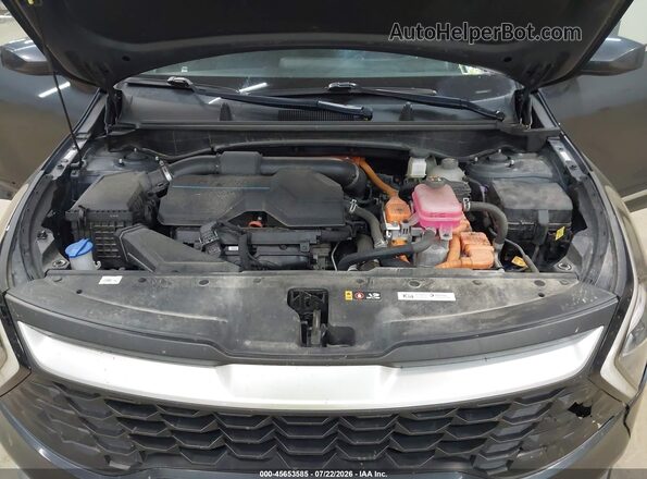 KNDPUCAG9P7016876 2023 KIA SPORTAGE HYBRID Gray Вид ззаду