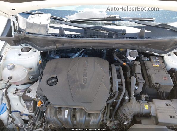 KNDPUCDFXR7278461 2024 KIA SPORTAGE White Widok z tyłu