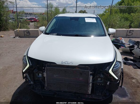 KNDPUCDFXR7278461 2024 KIA SPORTAGE White Widok wnętrza z tyłu