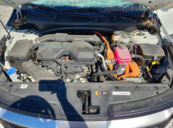 KNDPUCDG8S7195397 2025 KIA SPORTAGE White Rear interior view