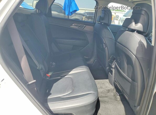 KNDPVCAG6P7117807 2023 KIA SPORTAGE Белый Вид задней части салона
