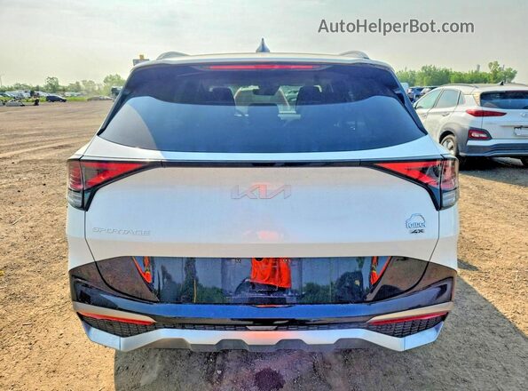 KNDPVCDFXR7253816 2024 KIA SPORTAGE White Rear view