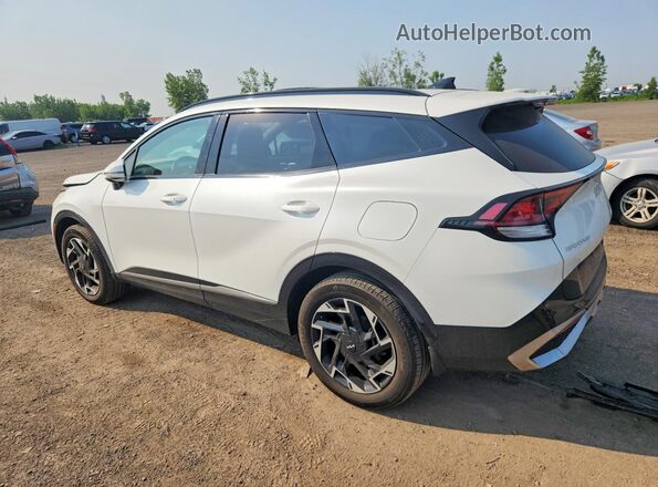 KNDPVCDFXR7253816 2024 KIA SPORTAGE White Rear left