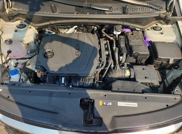 KNDPVCDFXR7253816 2024 KIA SPORTAGE White Rear interior view