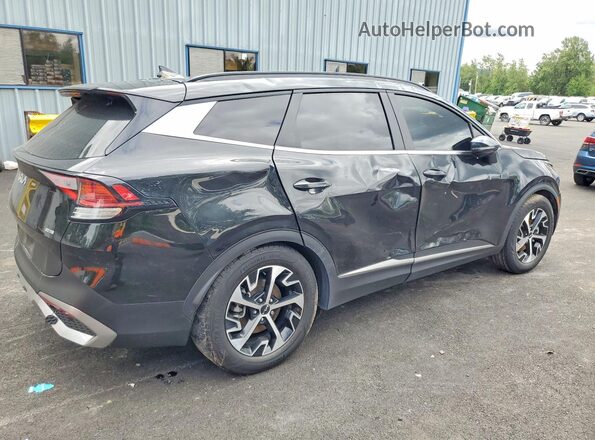 KNDPVCDG2R7154478 2024 KIA SPORTAGE Black Հետևի աջ