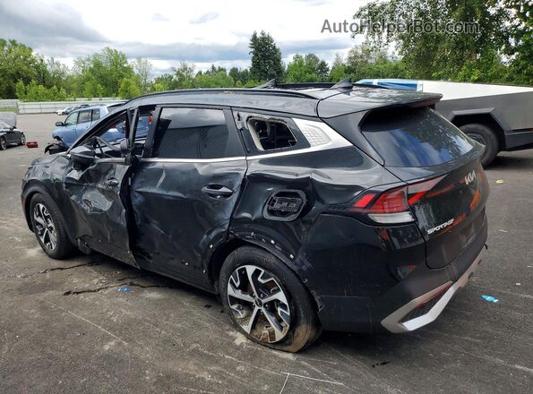 KNDPVCDG2R7154478 2024 KIA SPORTAGE Black Հետևի ձախ