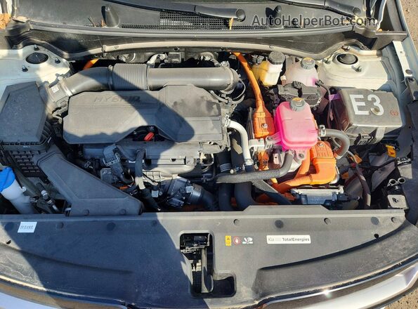 KNDPVDDG2T7268218 2026 KIA SPORTAGE Белый Вид задней части салона
