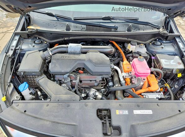 KNDPXCDG3S7224442 2025 KIA SPORTAGE Gray Вид задньої частини салону