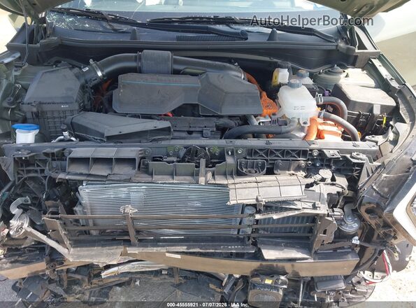 KNDPYDDH5R7145229 2024 KIA SPORTAGE PLUG-IN HYBRID Green Հետևի տեսք