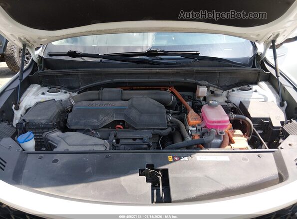 KNDRGDLGXN5103407 2022 KIA SORENTO HYBRID White Вид ззаду