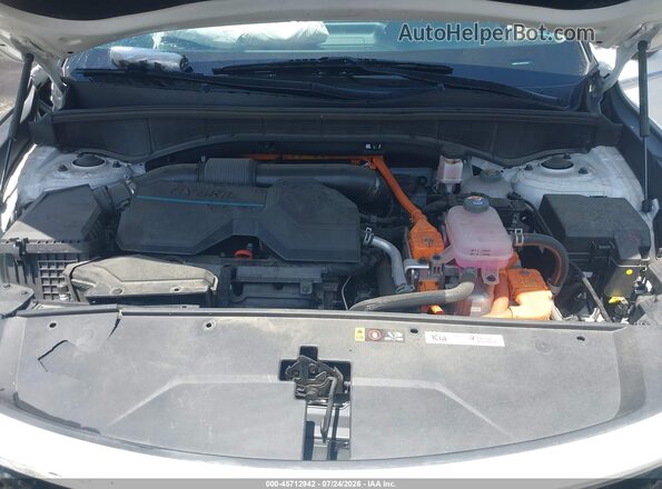 KNDRH4LG0R5260222 2024 KIA SORENTO HYBRID White Вид ззаду