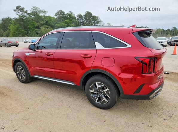 KNDRH4LG5P5167483 2023 KIA SORENTO Burgundy Задня ліва чверть